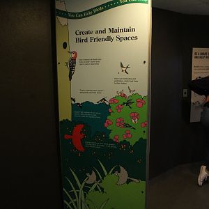 WOB 50th - Bird Friendly Spaces