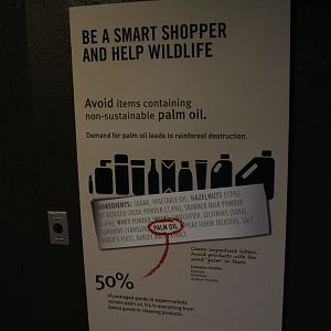 WOB 50th - Palm Oil Signage