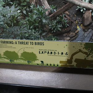 WOB 50th - Deforestation Signage