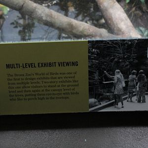 WOB 50th - Designing Multi-Level Viewing