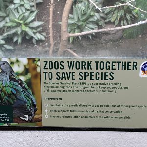 WOB 50th - Species Survival Plan Signage Part 1