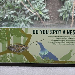 WOB 50th - Nicobar Pigeon Nesting Signage