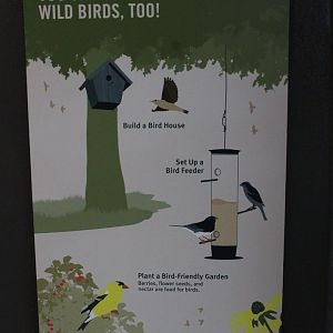WOB 50th - Creating Artificial Habitats for Birds