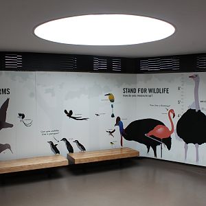 WOB 50th - How Do You Measure Up?