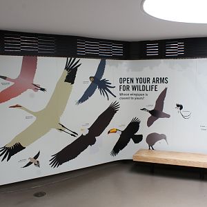 WOB 50th - How Do You Measure Up?