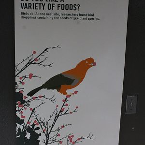 WOB 50th - Diet Diversity Sign