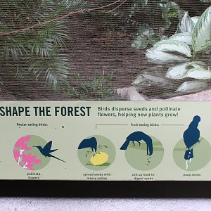 WOB 50th - Seed Spreading Signage