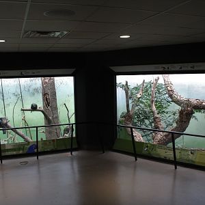 WOB 50th - Macaw and Hornbill Exhibits