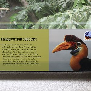 WOB 50th - Sulawesi Knobbed Hornbill Signage