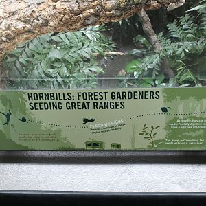 WOB 50th - Hornbill Seed Spreading Signage