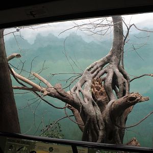 WOB 50th - Toco Toucan Exhibit