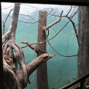 WOB 50th - Toco Toucan Exhibit