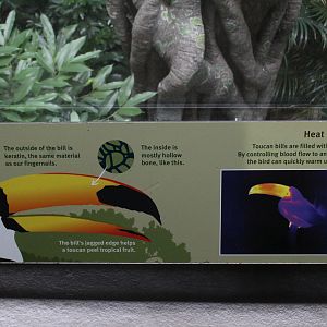 WOB 50th - Toucan Bill Signage