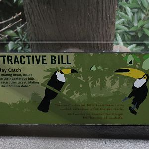 WOB 50th - Toucan Bill Signage
