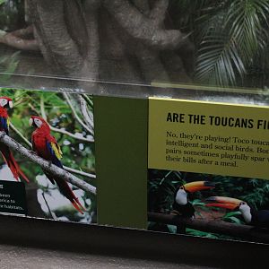 WOB 50th - Toucan Signage