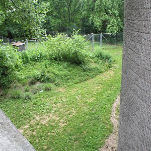 WOB 50th - Emu Yard Part 1