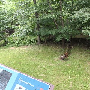 WOB 50th - Emu Yard Part 2