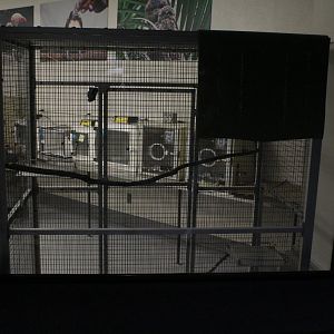 WOB 50th - Bird Nursery