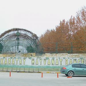 Karatay Zoo Perimeter with Stork Aviary creeping out