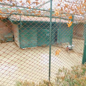 One of the pheasantries at Karatay Zoo