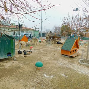Rabbit Enclosure at the Karatay Zoo