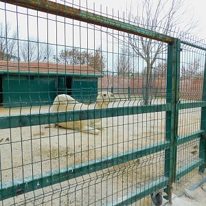 Camel Pen at the Karatay Zoo