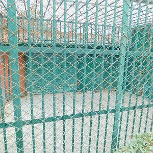 Badger Enclosure at the Karatay Zoo