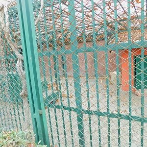 Raccoon Enclosure at the Karatay Zoo