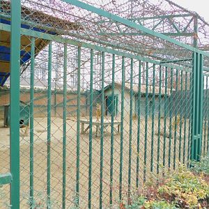 Wolf Enclosure at the Karatay Zoo