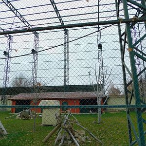 Birds of Prey Aviary at the Karatay Zoo