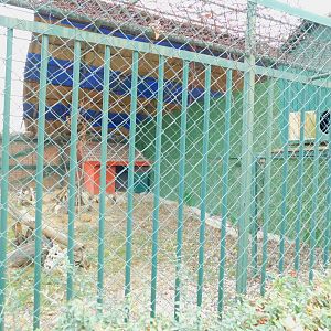 Red Fox Enclosure at the Karatay Zoo