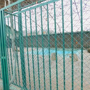 Tiger Enclosure at the Karatay Zoo