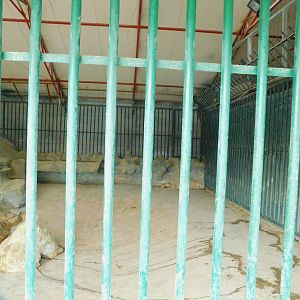 Cement Bear Cave at the Karatay Zoo