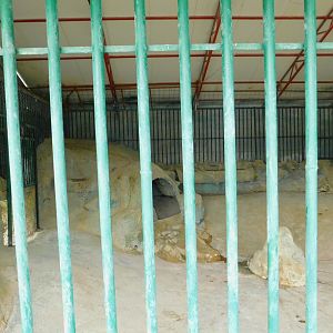 Cement Bear Cave at the Karatay Zoo