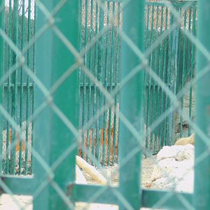 Broken down wall at the Karatay Zoo