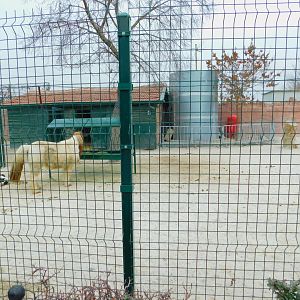Pony Pen at the Karatay Zoo