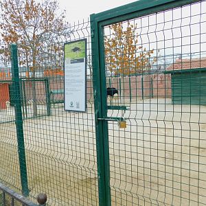 Ostrich Enclosure at the Karatay Zoo