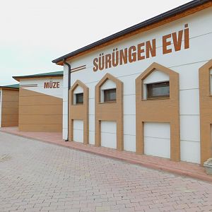 Bird, Taxidermy, and Reptile Building at the Karatay Zoo