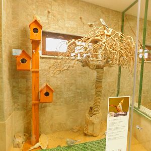 Cockatiel Enclosure at the Karatay Zoo