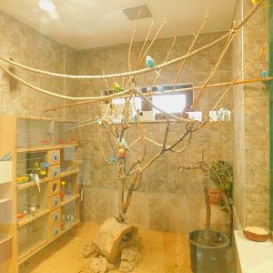 Budgie Enclosure at the Karatay Zoo