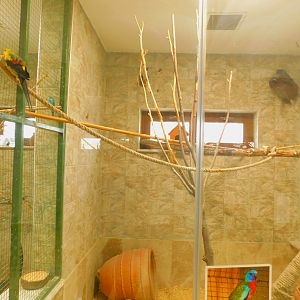 Neophema Enclosure at the Karatay Zoo