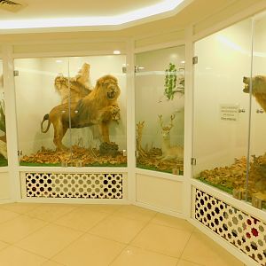 Taxidermies at the Karatay Zoo