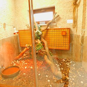 Corn Snake Enclosure at the Karatay Zoo