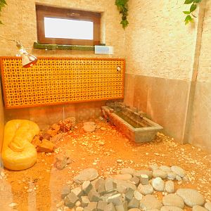 Burmese Python Enclosure at the Karatay Zoo