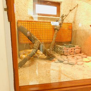 Reticulated Python Enclosure at the Karatay Zoo