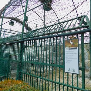 White Stork Enclosure at the Karatay Zoo