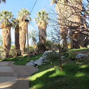 Sonoran Aviary