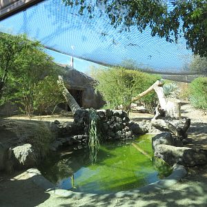Jaguar Exhibit