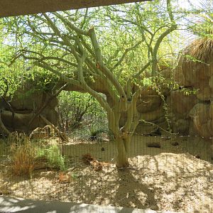 Swift Fox Exhibit