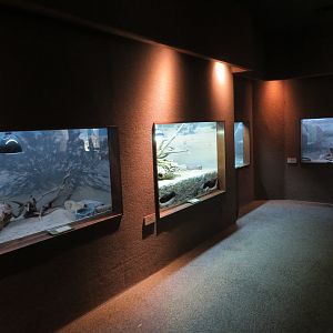 Eagle Canyon Building